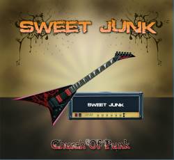 Sweet Junk : Church of Punk